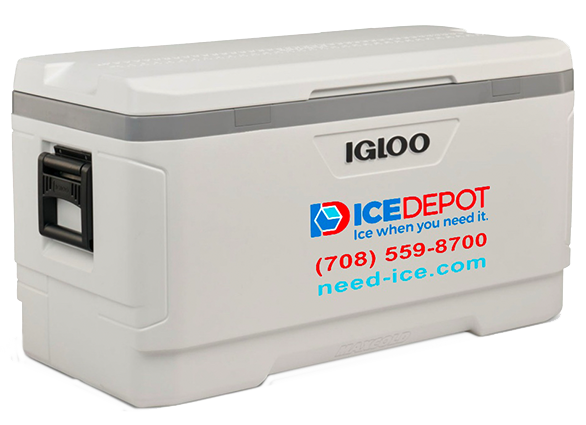 Igloo cooler for rent